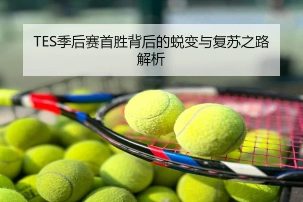 TES季后赛首胜背后的蜕变与复苏之路解析